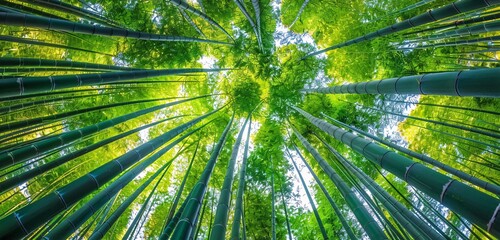The Canopy of Bamboo A Symphony of Nature's Architecture Generative AI