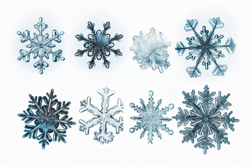 Set of different snowflakes isolated on white background. Macro photo of real snow crystals.