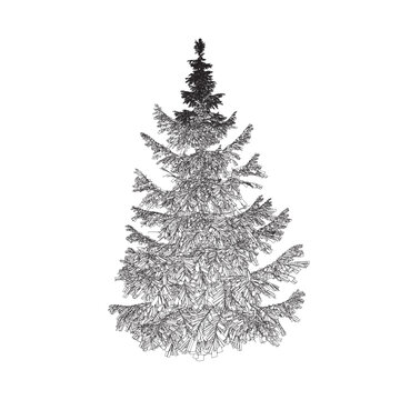 Outline of a detailed Christmas tree made of black lines isolated on a white background. Vector illustration.