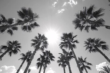 Sunlit Palm Trees A Vibrant and Serene Beach Scene Generative AI