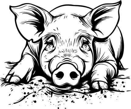 recommend clip art: Pig in mud silhouette icon in black color. Vector template design.