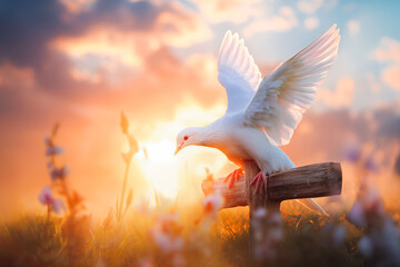 White dove with spread wings standing over the holy cross of Jesus Christ symbolize death and...