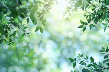 Spring background  green tree leaves on blurred background