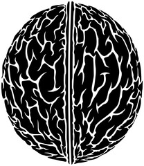 walnut illustration hazelnut silhouette pecan logo nut icon healthy outline cashew food seed leaf almond branch snack tree leaves shape plant pistachio diet for vector graphic background