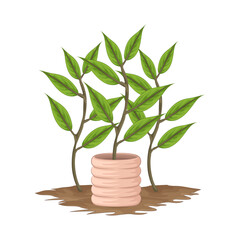Fototapeta na wymiar Illustration of plant 