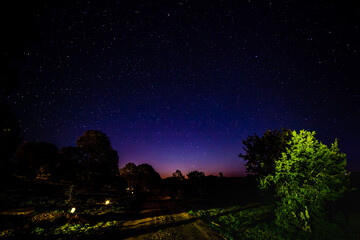 Naklejka premium night sky with trees