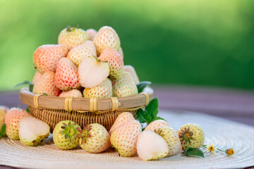 White Strawberries on wooden table in garden, Pink snow strawberry in wooden plate on blurred greenery background.	