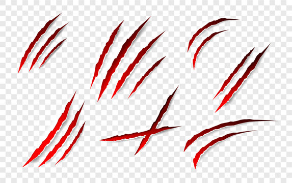 Claws scratches - vector isolated. Claws scratches animal claw tracks cat or tiger bear or lion attack nails scratches. Horror, halloween monster. Vector