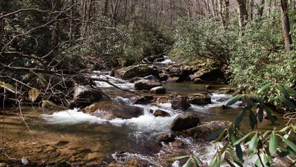 Rainbow Falls at Gorges State Park 6