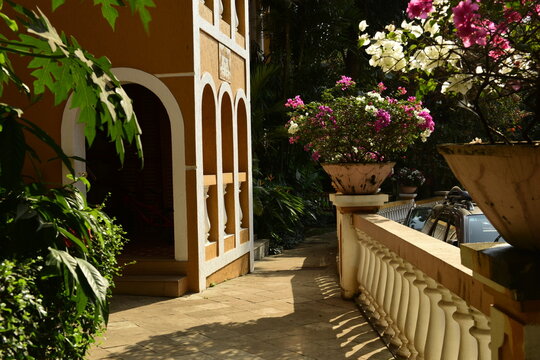 Mediterranean architectural style stone pathway with Bougainvillea flowers 