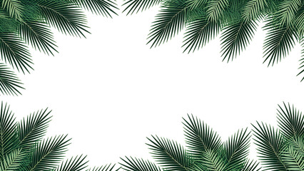 Fototapeta na wymiar Dark green palm leaves background for presentations