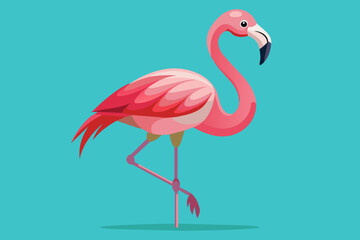 pink flamingo 