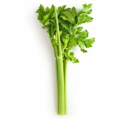 Fresh green celery stalks with vibrant leaves, isolated on a white background, showcasing natural crispness and organic quality.
