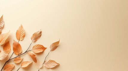 size beige background with leaves