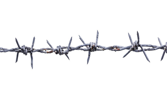 Fencing barbed wire iron image isolated on white background