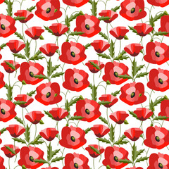 Poppy pattern, simple flower outline, flat, vector illustration	