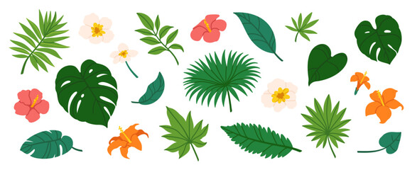 Tropical leaves. Cartoon jungle exotic palm plants and flowers. Banana, philodendron, plumeria, monstera leaf isolated on white background. Floral elements. Vector collection - obrazy, fototapety, plakaty