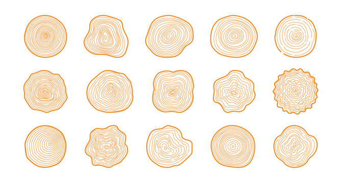 Tree rings. Hand drawn wood slice texture. Abstract tree age year circle. Line wooden circular ripple, nature timber, fractal stump. Organic trees material. Vector set