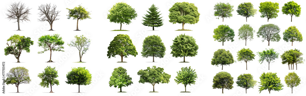 Poster collection of isolated trees