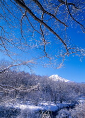 山梨県忍野村で眺める冬の富士山