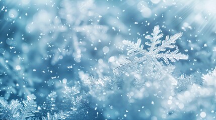 Fototapeta na wymiar snowflake winter travel and snow sports, dreamy background , high resolution