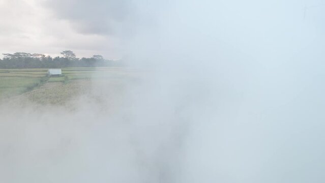 Aerial camera fly over pile of burning straw, move into and through thick white smoke. Open-burning method of disposal of crop residue at harvested rice fields at central Bali.
