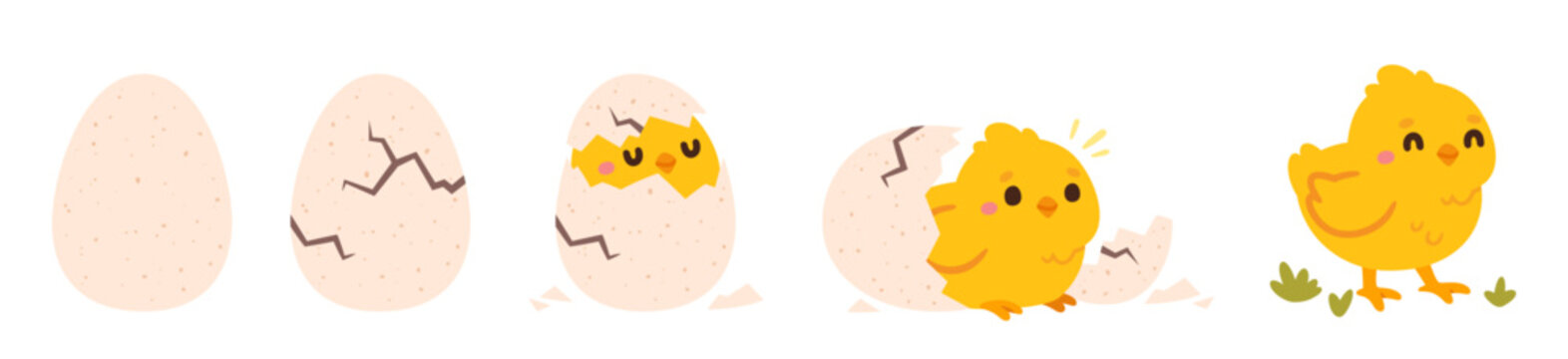 Chicken hatching. Easter cute chick hatched, cracked shell egg. Newborn bird from egg step-by-step process. Domestic hens baby in nest. Farm birds. Vector concept