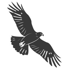Silhouette hawk animal fly black color only full body