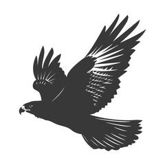 Obraz premium Silhouette hawk animal fly black color only full body