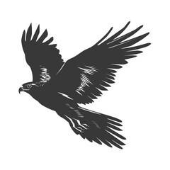 Obraz premium Silhouette hawk animal fly black color only full body