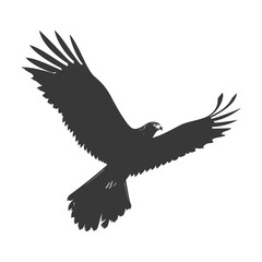 Silhouette hawk animal fly black color only full body