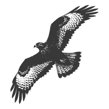 recommend clip art: Silhouette hawk animal fly black color only full body