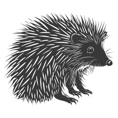 Silhouette Hedgehog animal black color only full body