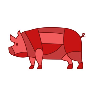 Pig vector. Collection Pork Meat cut. Loin part. Processed Agricultural Products. Guide shopping in supermarket.