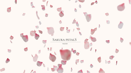 Falling sakura petals in realistic style. Vector without background.