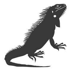 Silhouette Iguana Animal black color only full body