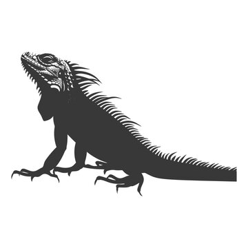 recommend clip art: Silhouette Iguana Animal black color only full body