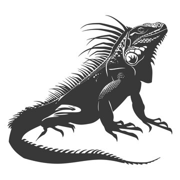 recommend clip art: Silhouette Iguana Animal black color only full body