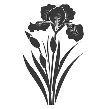 black iris flower silhouette on white clip art preview