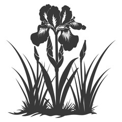 Silhouette iris flower in the ground black color only