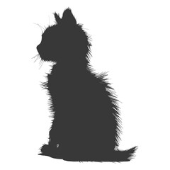Obraz premium Silhouette kitten cute animal black color only full body