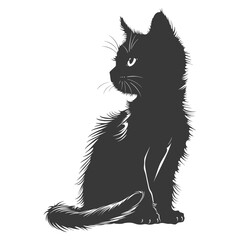 Silhouette kitten cute animal black color only full body