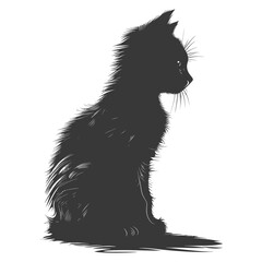 Obraz premium Silhouette kitten cute animal black color only full body