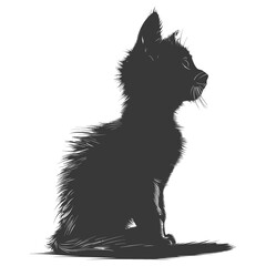 Obraz premium Silhouette kitten cute animal black color only full body