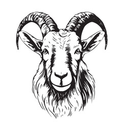 goat head vector black and white sketch - obrazy, fototapety, plakaty