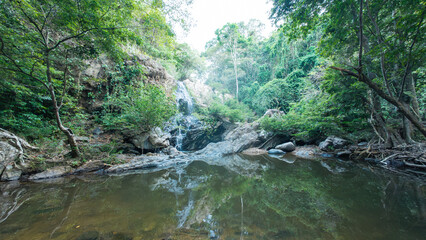 Serene Forest Waterfall and Natural Pool Landscape
