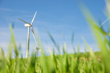 Wind turbine generators for green electricity production - 777170628