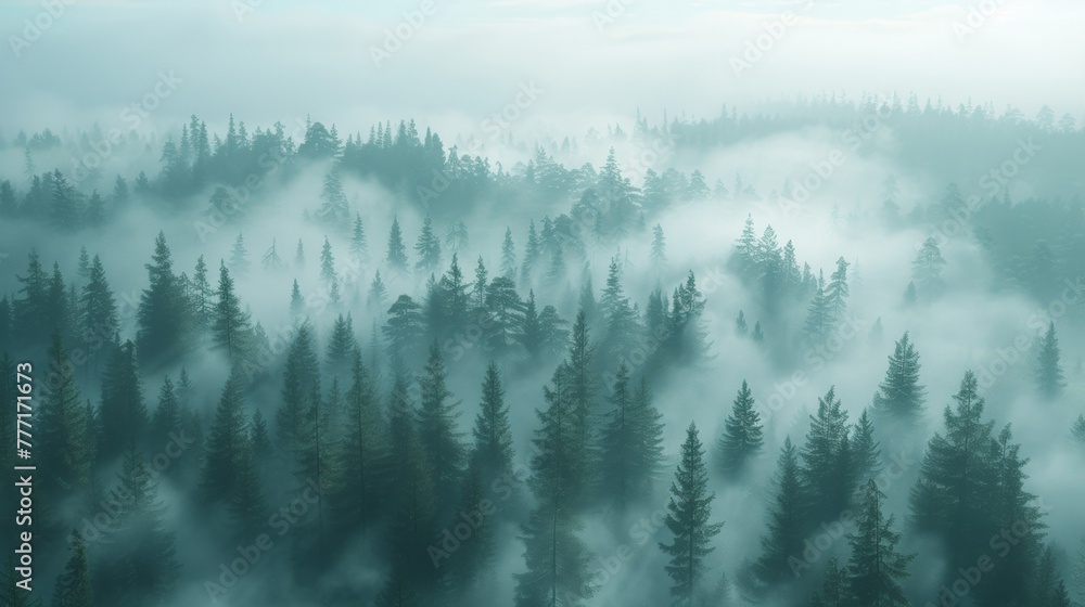 Poster a view of a forest with fog and trees in the background, ai
