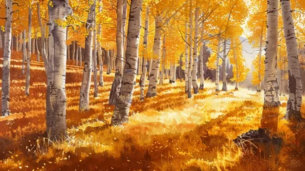 Zelfklevend Fotobehang Peaceful aspen tree grove with golden leaves shimmering in the autumn sun. © CREATER CENTER