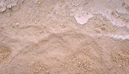 Soil floor texture for background abstract
